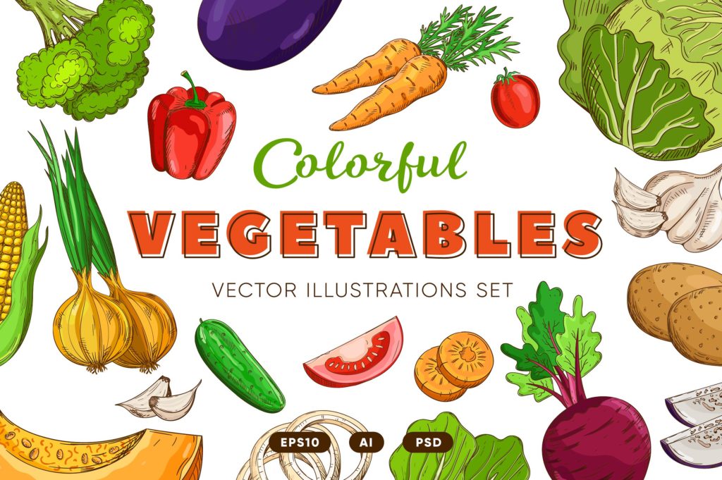 复古风格手绘矢量蔬菜素材打包下载[ai,psd,eps,png,jpg]插图
