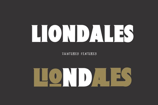 现代版式设计英文衬线字体 Liondales & Extra插图5