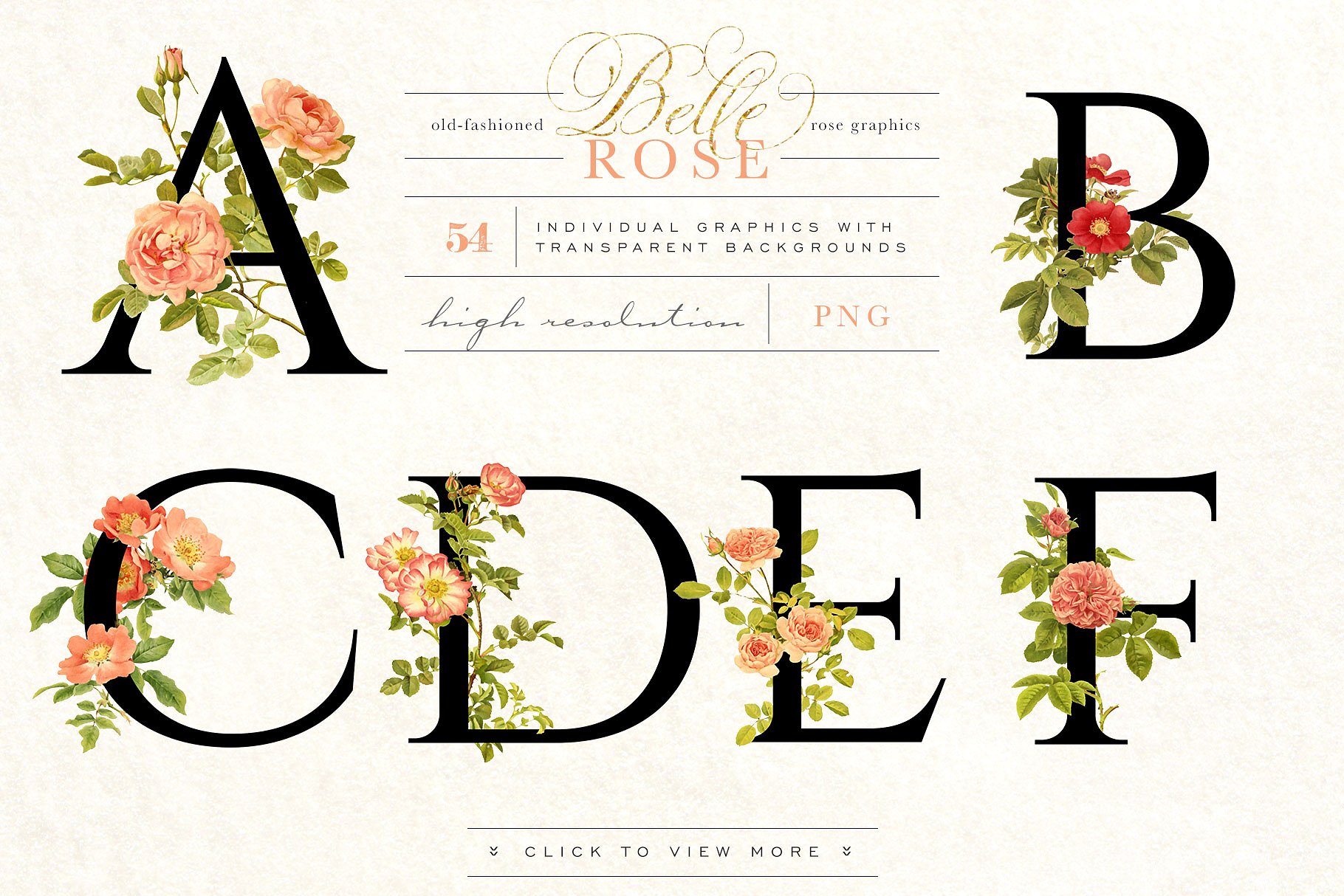 旧时尚老派水彩玫瑰花卉剪贴画合集 Belle Rose Antique Graphics Bundle插图(6)
