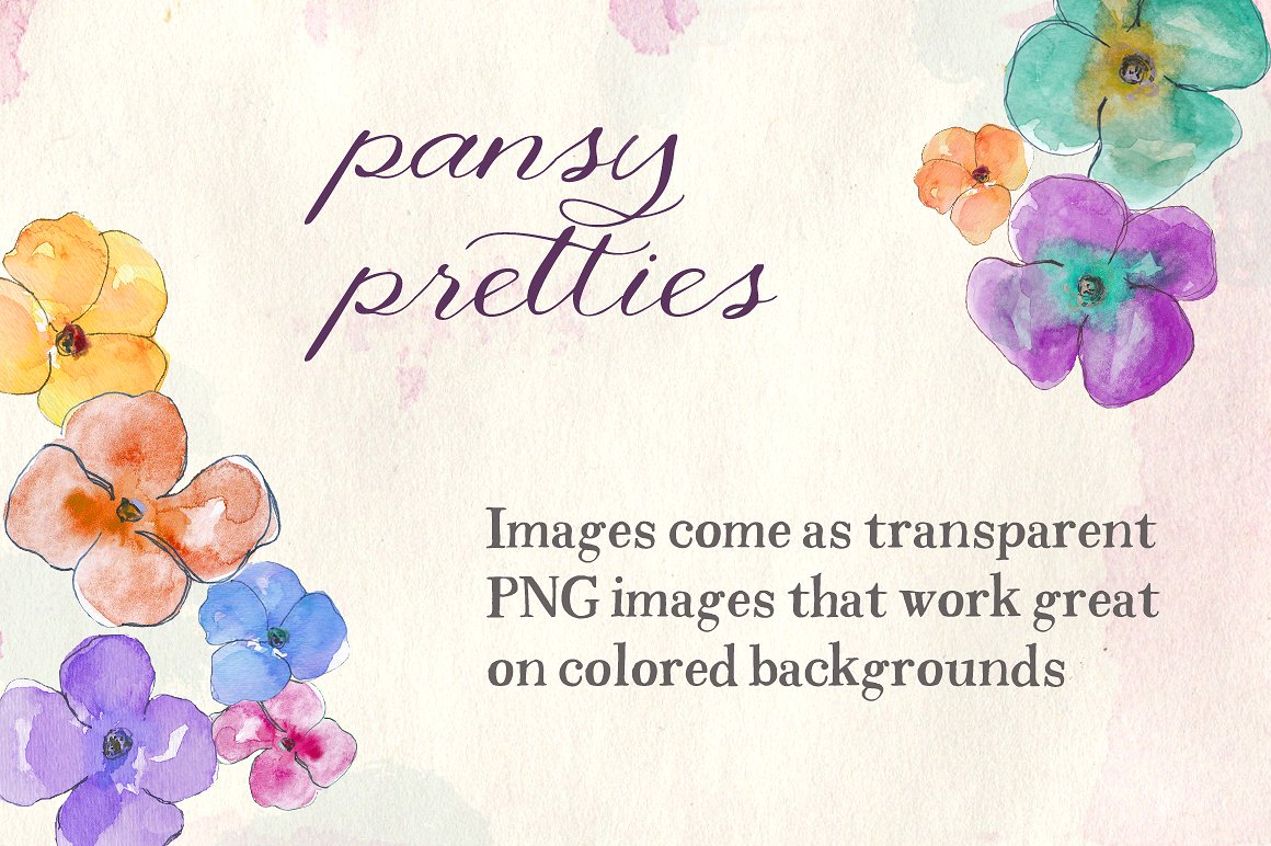 漂亮的手绘水彩三色紫罗兰插画素材 Watercolor Pansies插图