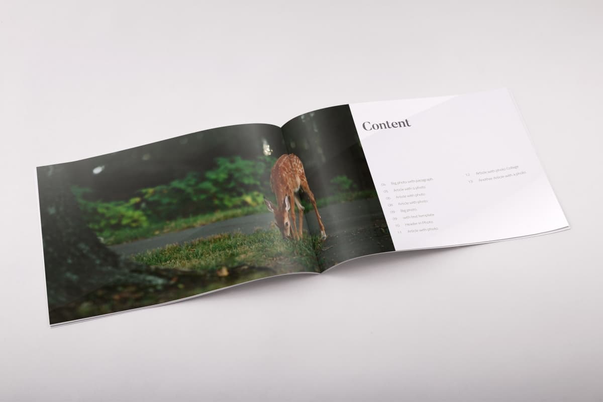 宣传小册子排版设计模板 Chameleon Free InDesign Brochure Template插图(2)