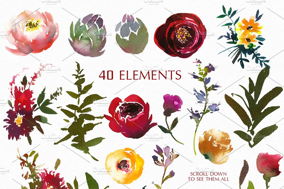 波尔多水彩花卉艺术设计素材 Bordo Watercolor Floral Clip Art Set插图4