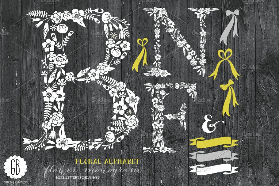 花体英文字母插画素材 Floral letters, rustic, white BNF插图