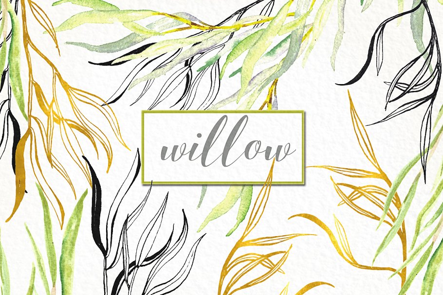 柳枝水彩剪贴画 Willow branches watercolor clipart插图4