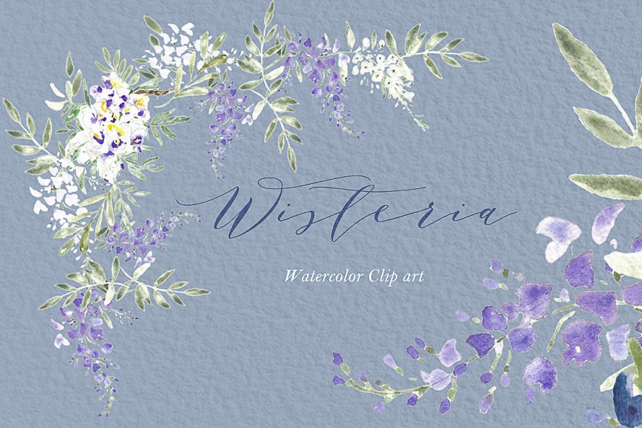 紫藤婚礼婚庆水彩画素材 Wisteria wedding watercolors插图(3)