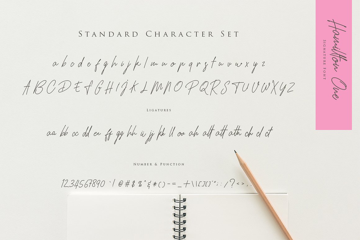 优雅设计风格英文钢笔签名字体 Hamillton Signature Script Typeface插图(3)