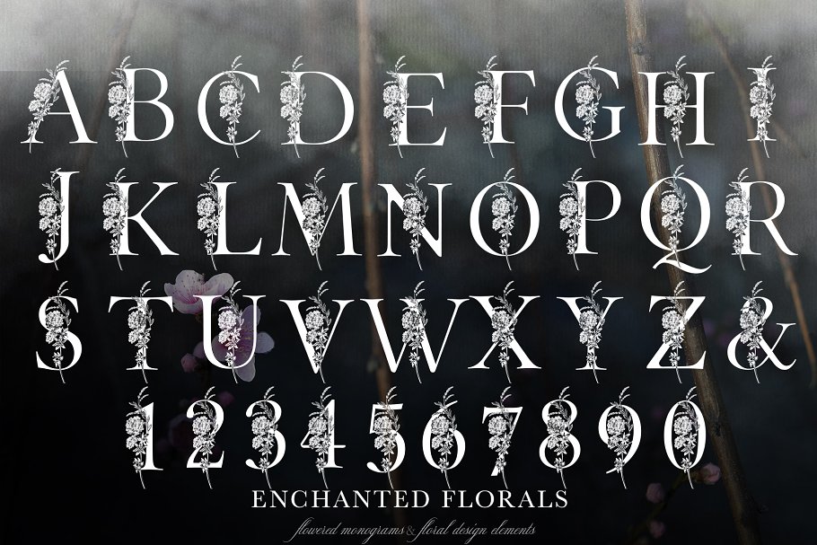 魔法花卉装饰字母创意字母集 Enchanted Florals Monogram Set插图3