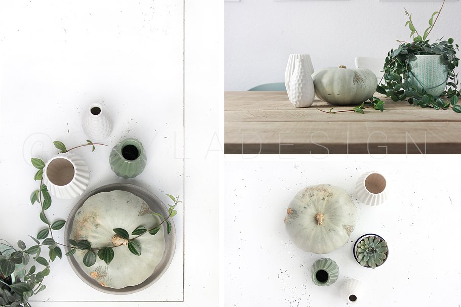 绿色盆栽植物纹理 Mint pumpkin, Styled stock photos插图(2)