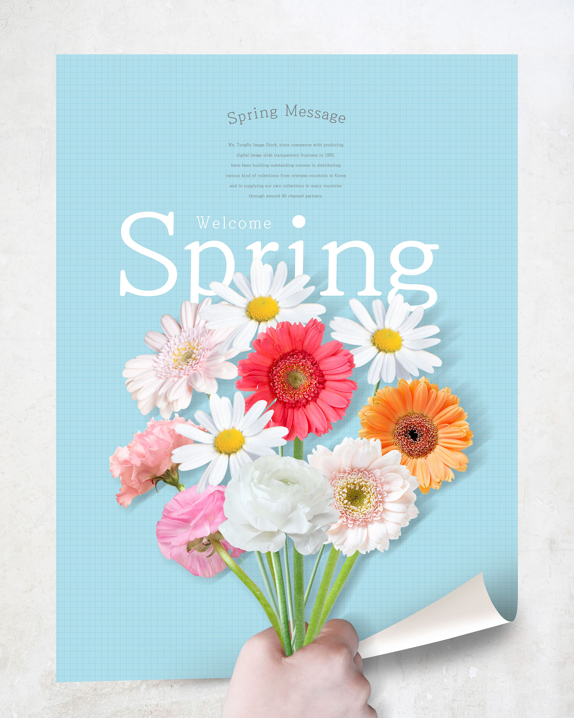 清新的春天氛围创意海报模板PSD插图(10)