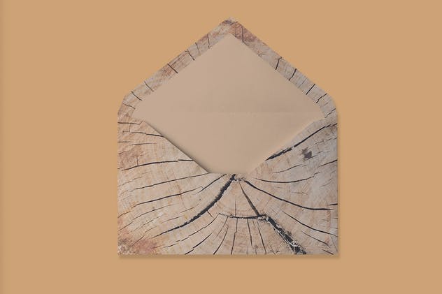 逼真真实年轮木纹背景素材 Wood Grain Texture Pack插图5