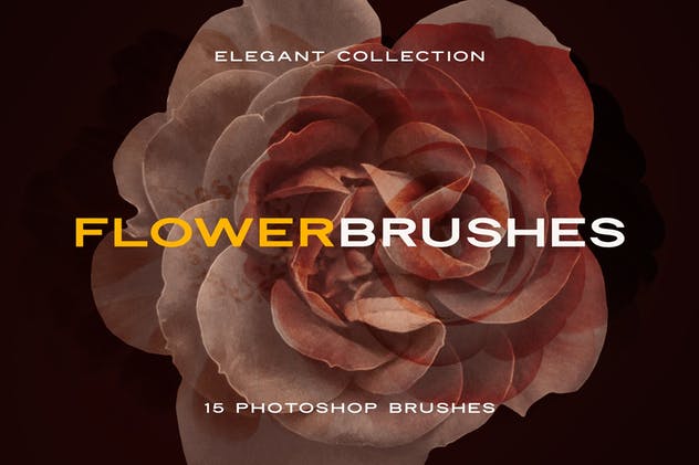15款优雅花卉图案PS笔刷 Elegant Flower Brushes for Photoshop插图(8)