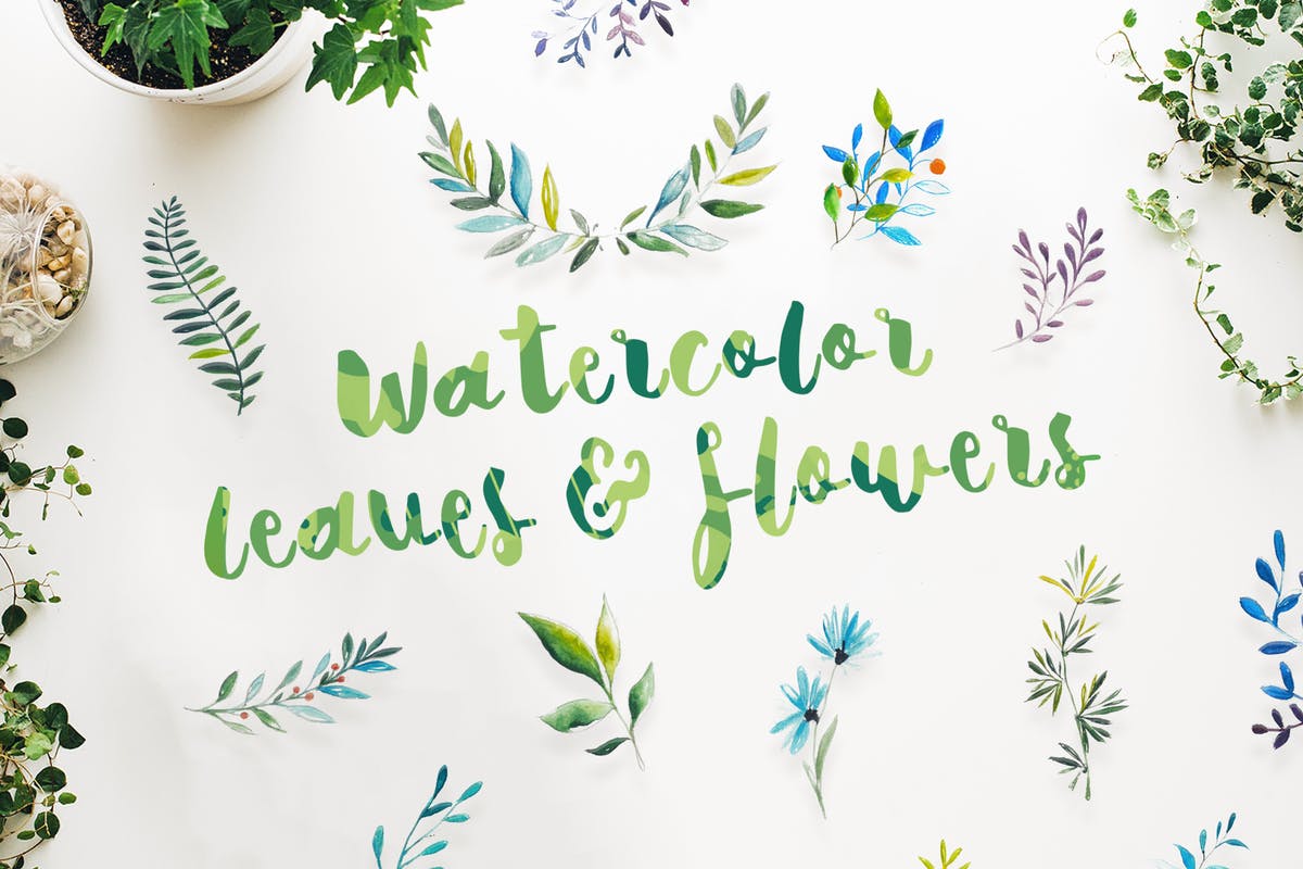 21组水彩叶子&花卉剪贴画合集 21 Watercolor Leaves & Flowers插图