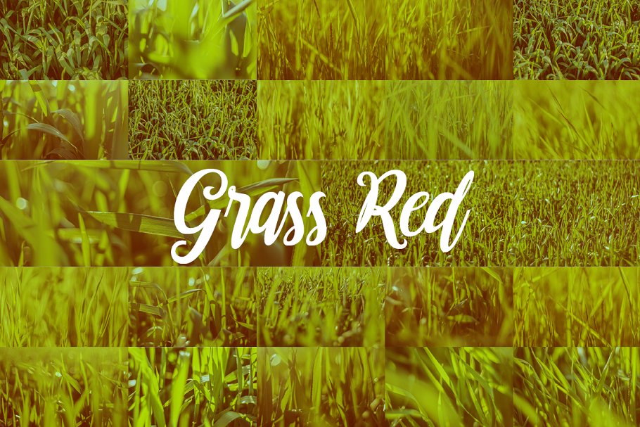 象征生命的绿色植草高清照片素材 Cute Large Grass Backgrounds Natural插图3
