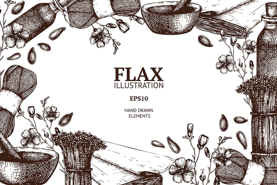 复古亚麻植物插画素材 Vintage Flax Illustrations插图