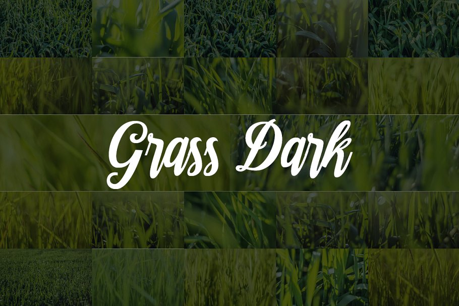 象征生命的绿色植草高清照片素材 Cute Large Grass Backgrounds Natural插图2