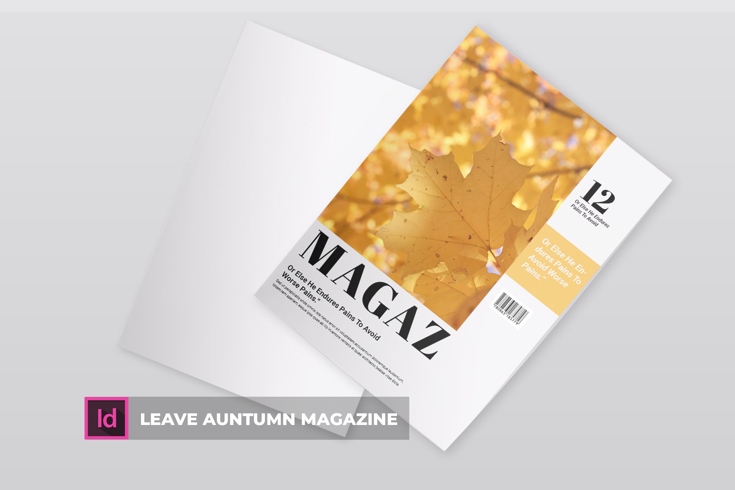 高端简约多行业适用杂志设计模板 Leave Auntumn | Magazine Template插图