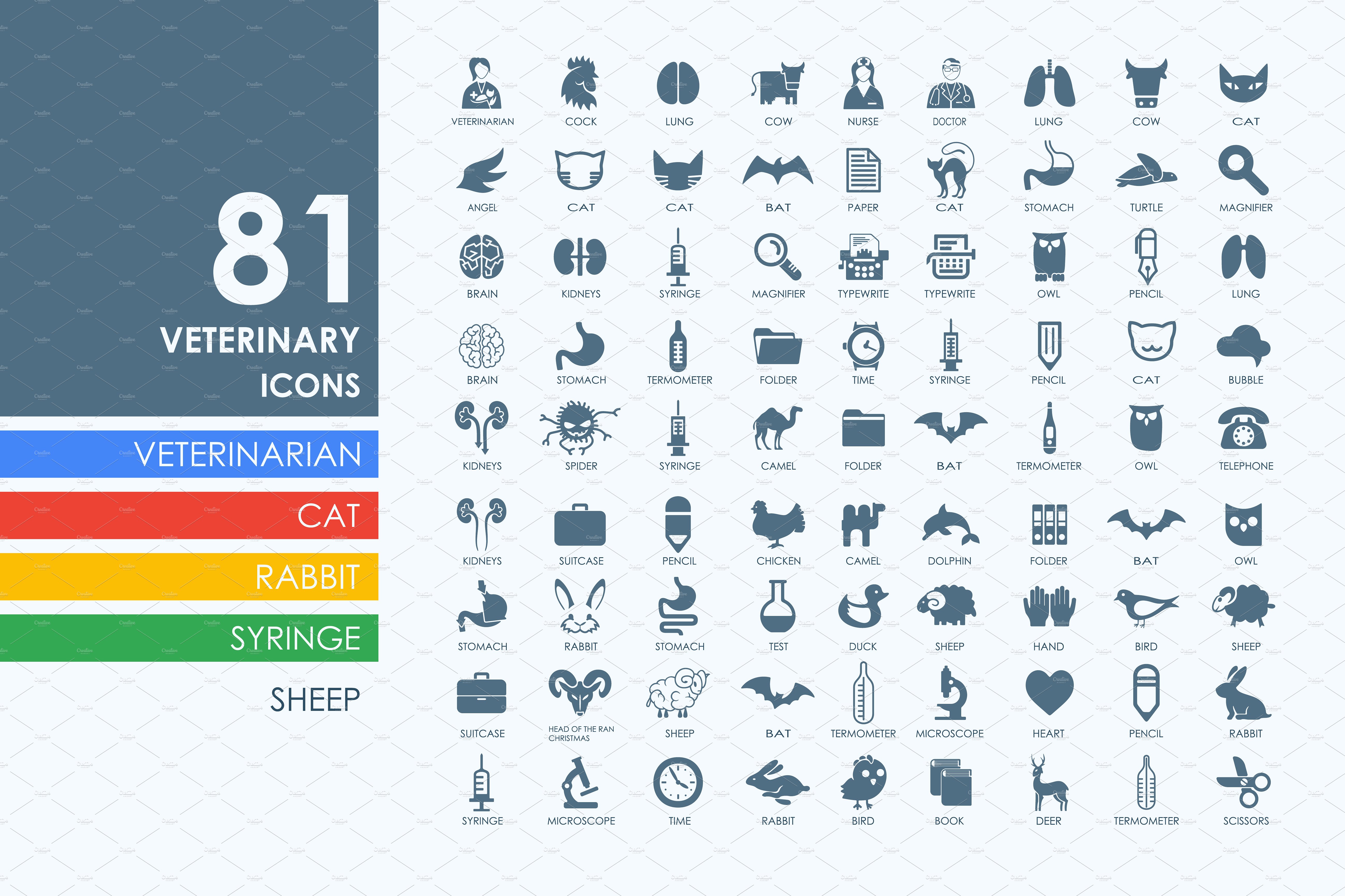 81个动物医疗图标  81 veterinary icons插图