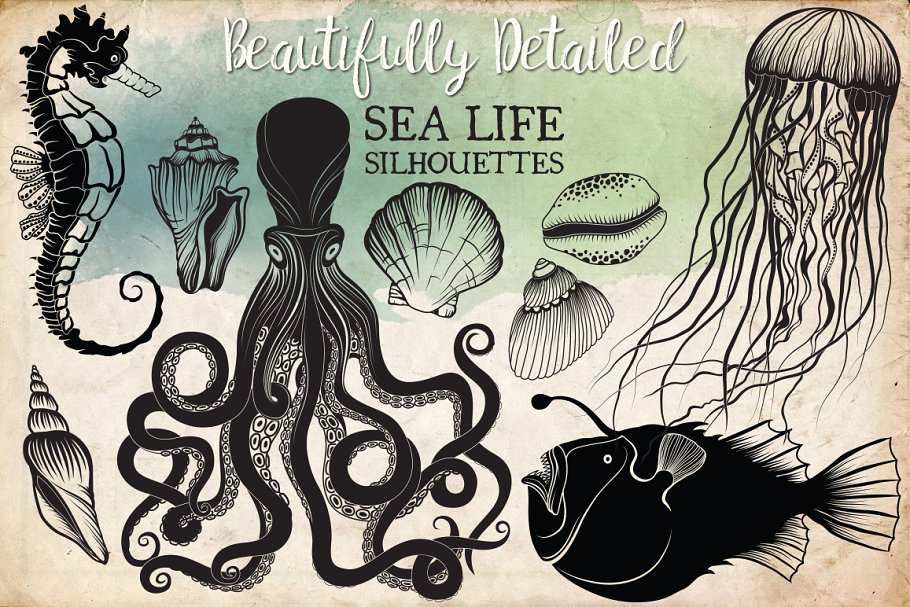 手绘海洋生活剪贴画素材 Hand Drawn Ocean Life Clipart插图
