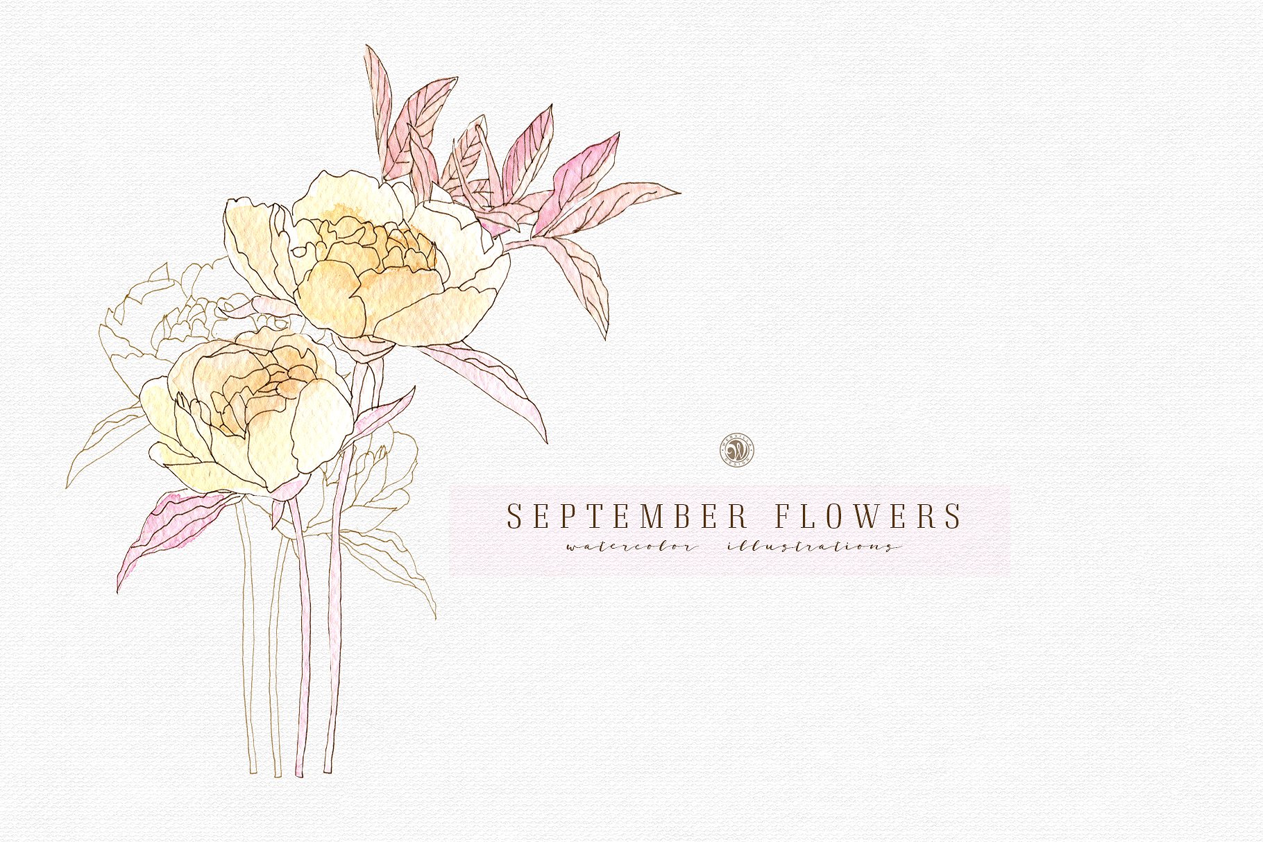 九月淡雅风水彩手绘花卉插画素材v2 September Flowers vol.2插图1