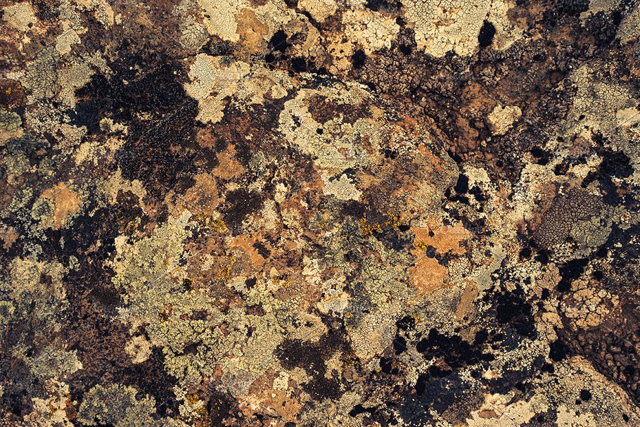 高清自然真实岩石石头照片素材 Rock Solid – Rock & Stone Collection插图21
