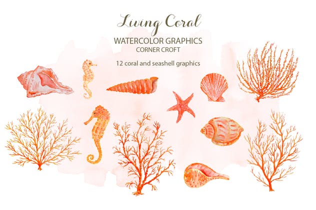 海洋生物水彩插画素材 Watercolor clipart living Coral插图(4)