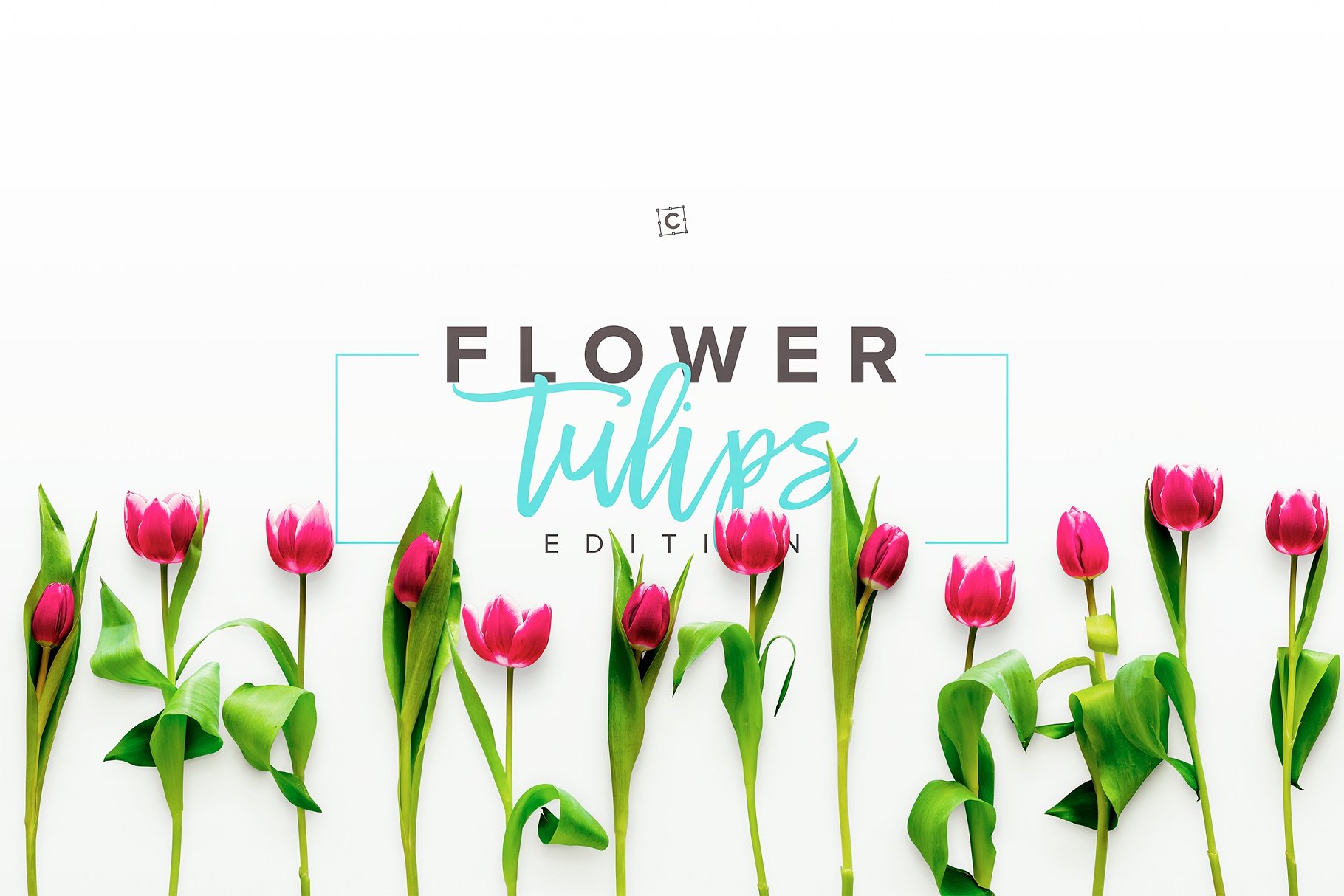 郁金香花卉场景样机 Flower Tulips Edition – Custom Scene[1.18GB]插图(5)