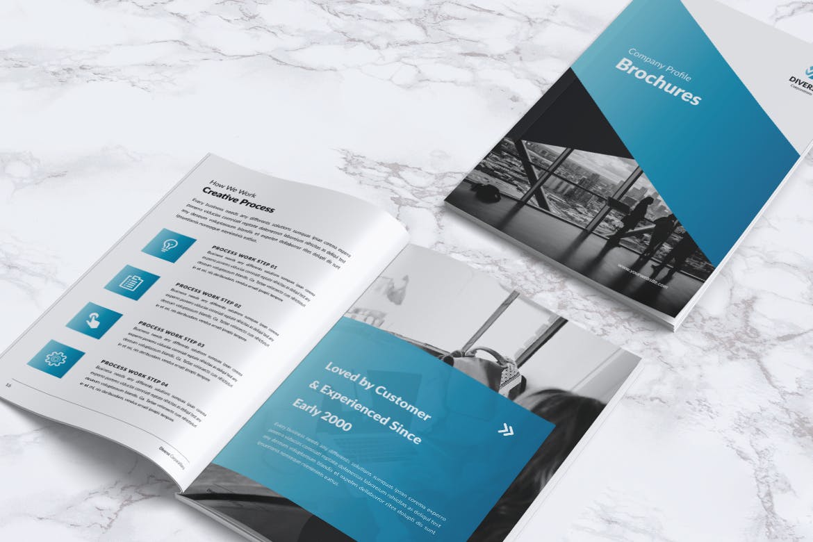 多元化大型公司简介企业画册设计模板 DIVERSE Professional Company Profile Brochures插图13