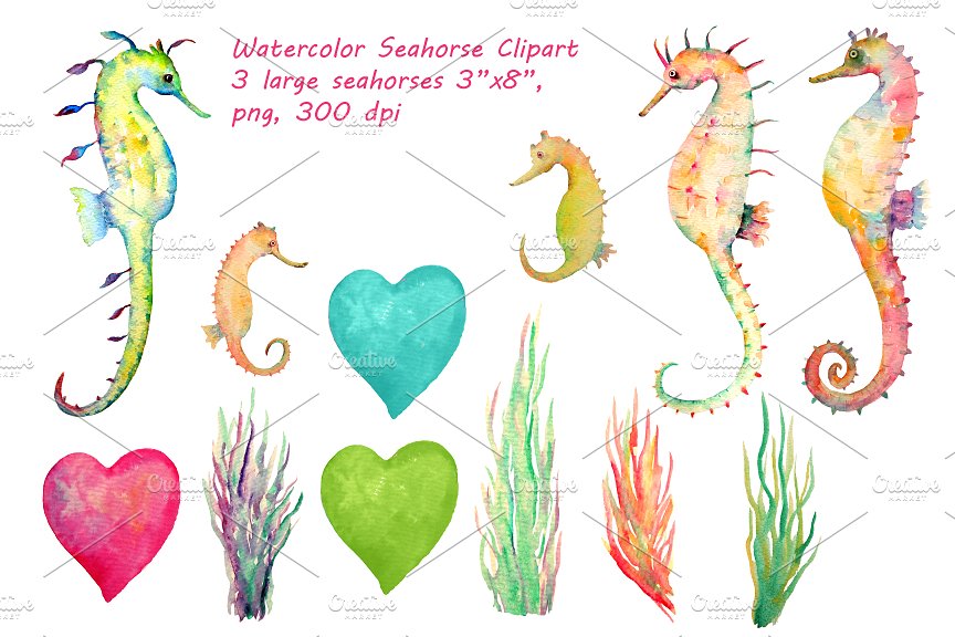 手绘海洋生物水彩海马插画 Watercolor Seahorse Clipart插图