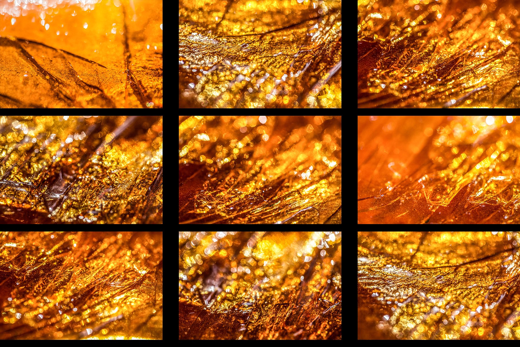 38款琥珀色纹理背景 38 Amber Backgrounds插图(4)