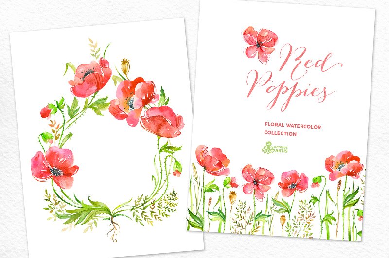红色手绘水彩罂粟花卉元素 Red Poppies. Floral collection插图1