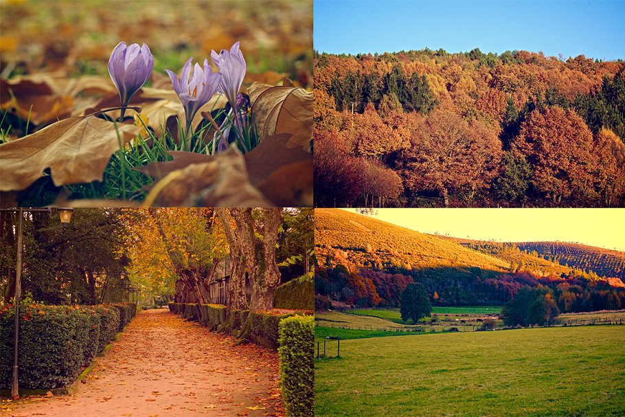 秋意盎然高清风景照片素材 Autumn photo pack插图(2)