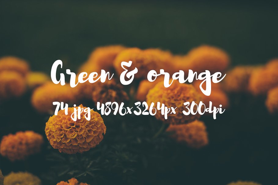 橙黄色花卉高清照片素材 Green and orange photo bundle插图