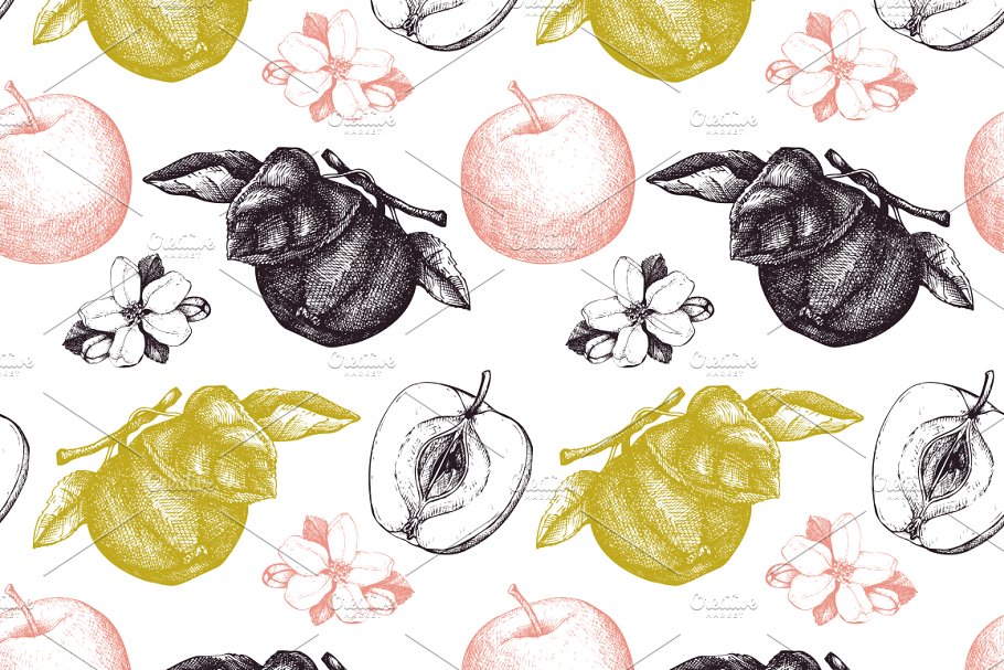 复古手绘苹果树矢量剪贴画 Vector Apple Trees Illustrations插图(5)