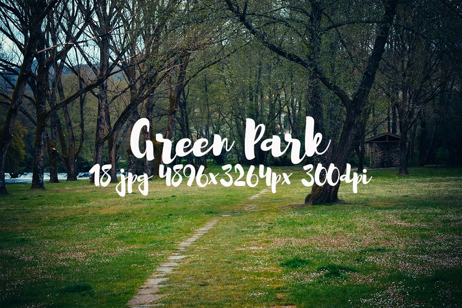 生机勃勃的公园景象高清照片素材 Green Park bundle插图(15)