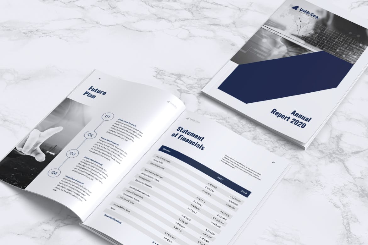 上市公司企业年度报告设计模板 LEVIDE Corporate Annual Report插图5