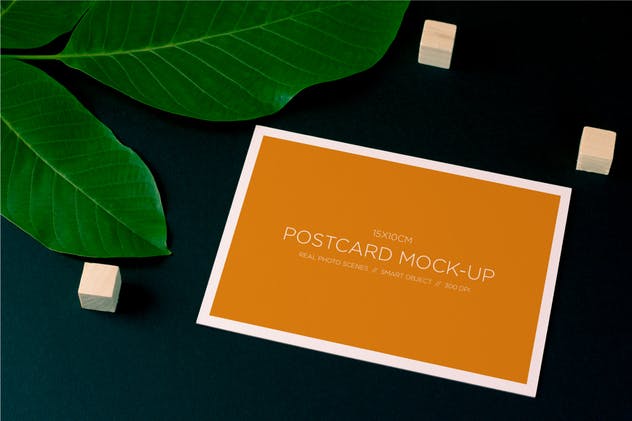 明信片/照片简约样机模板 Post Card Mock-up / Real Photo Scene插图