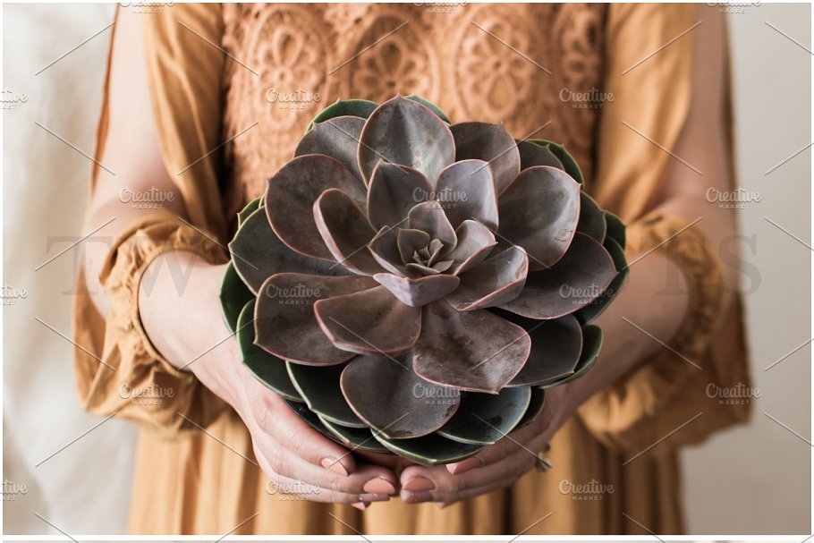 婚礼场景照片样机合集 Ultimate Wedding Stock Photo Bundle插图(14)