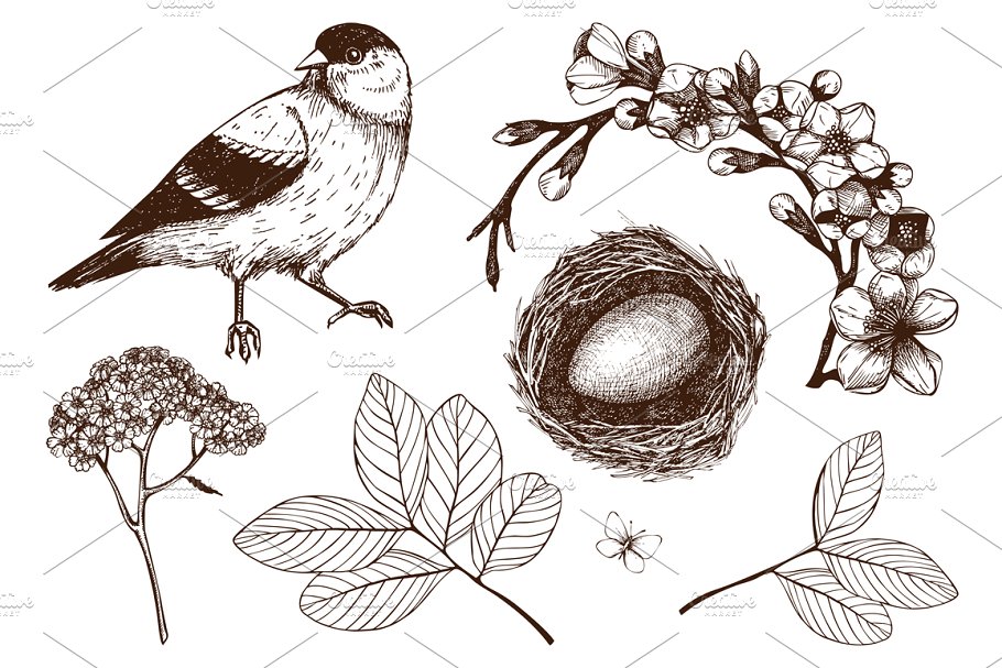 春季手绘小鸟自然元素 Hand Drawn Spring Birds Patterns插图(2)