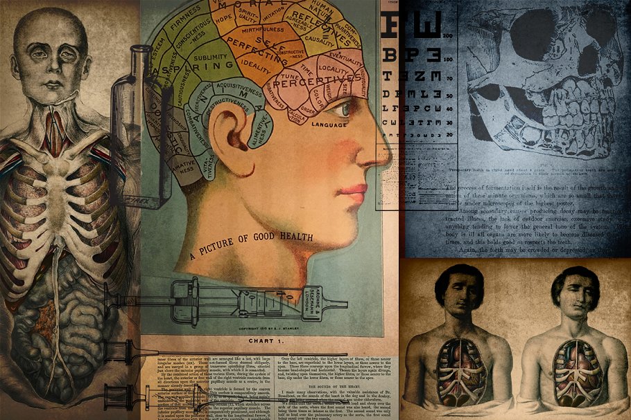 旧时代解剖医学插图素材 Medical Art | 110 EPS, PNG and JPG’s插图2