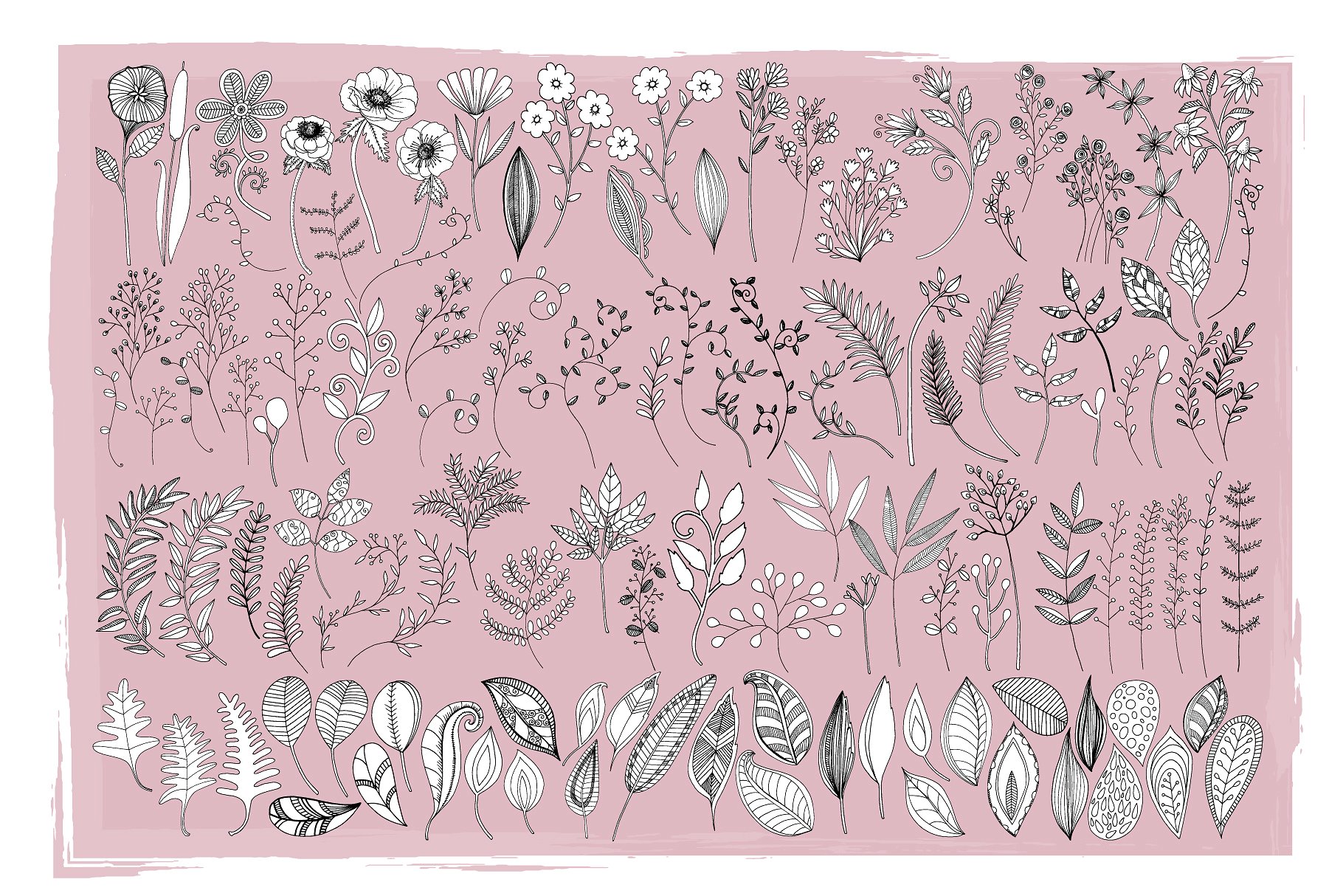 花卉艺术线条及花环素材 Flower Line Art & Floral Wreaths插图10