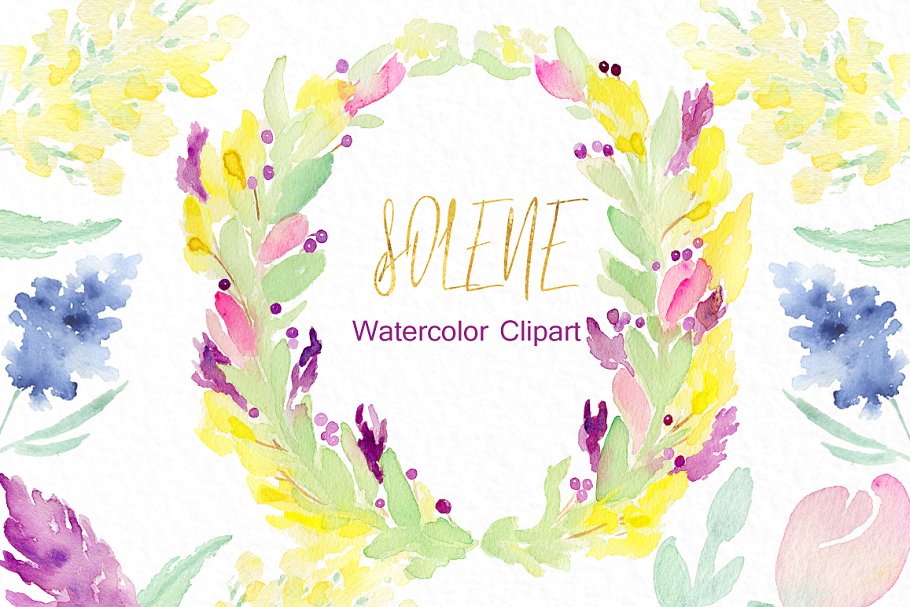 精致柔和的水彩花卉剪贴画合集 Soft pinkWatercolor flowers插图(1)