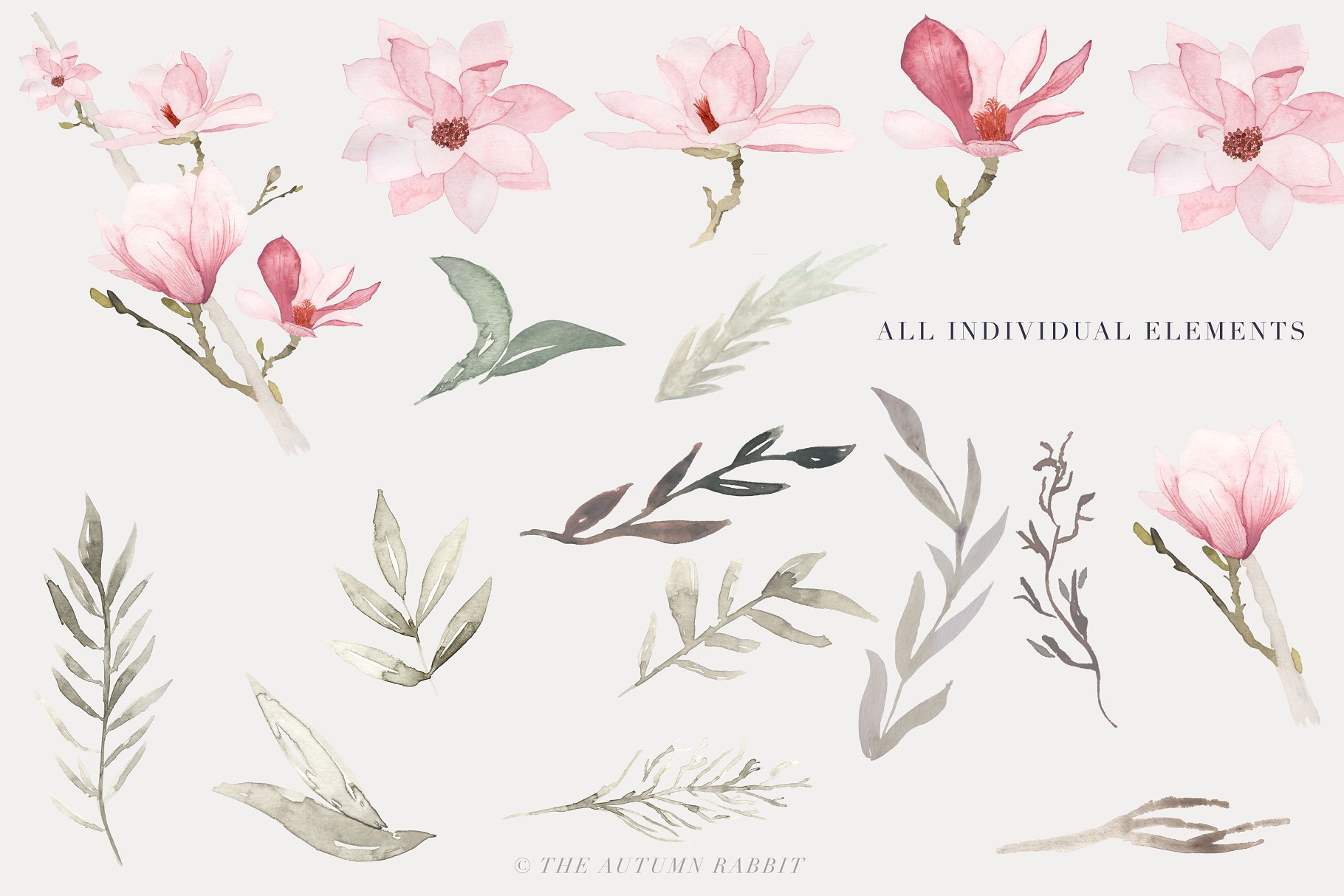水彩玉兰花剪切画素材 Watercolor Magnolia Floral Clipart插图(1)
