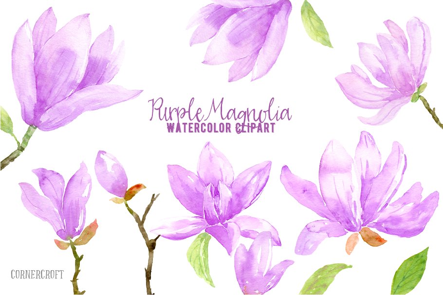 紫玛瑙色彩花卉水彩剪贴画 Watercolor Purple Magnlia插图