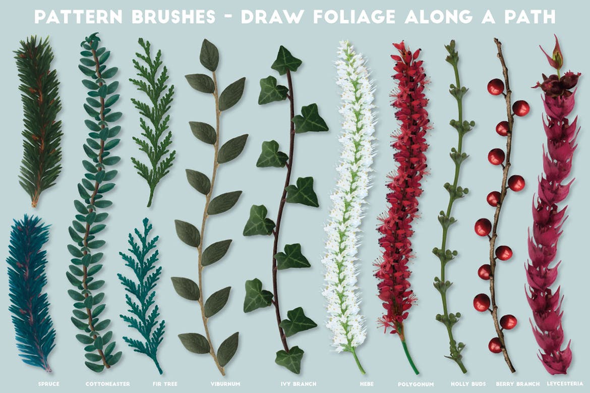 逼真植物花卉图案AI笔刷 The Vector Florist – Brushes: Winter插图8