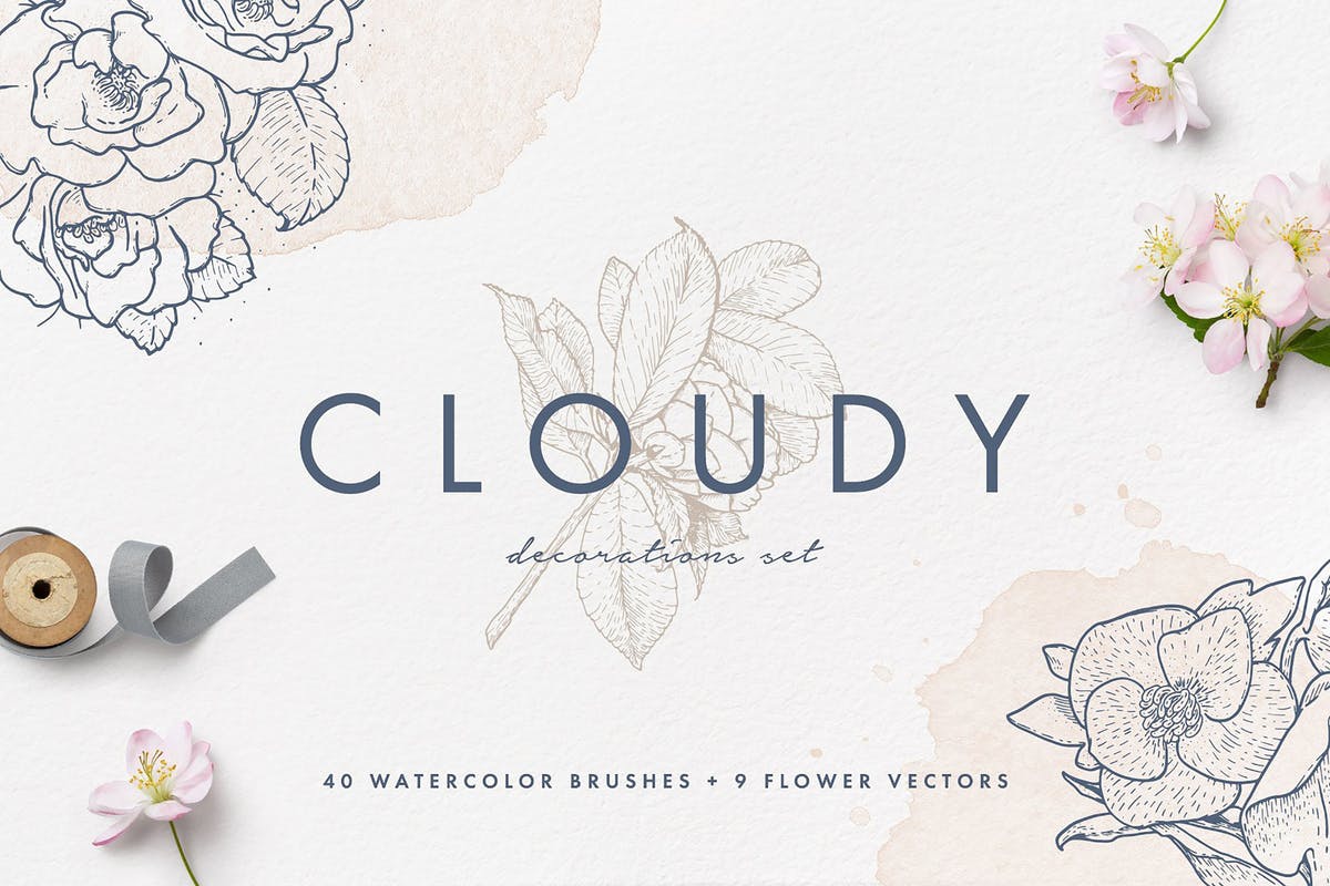 40款水彩图形PS画笔笔刷＆矢量花卉插画素材 Cloudy Watercolor Decorations Set插图