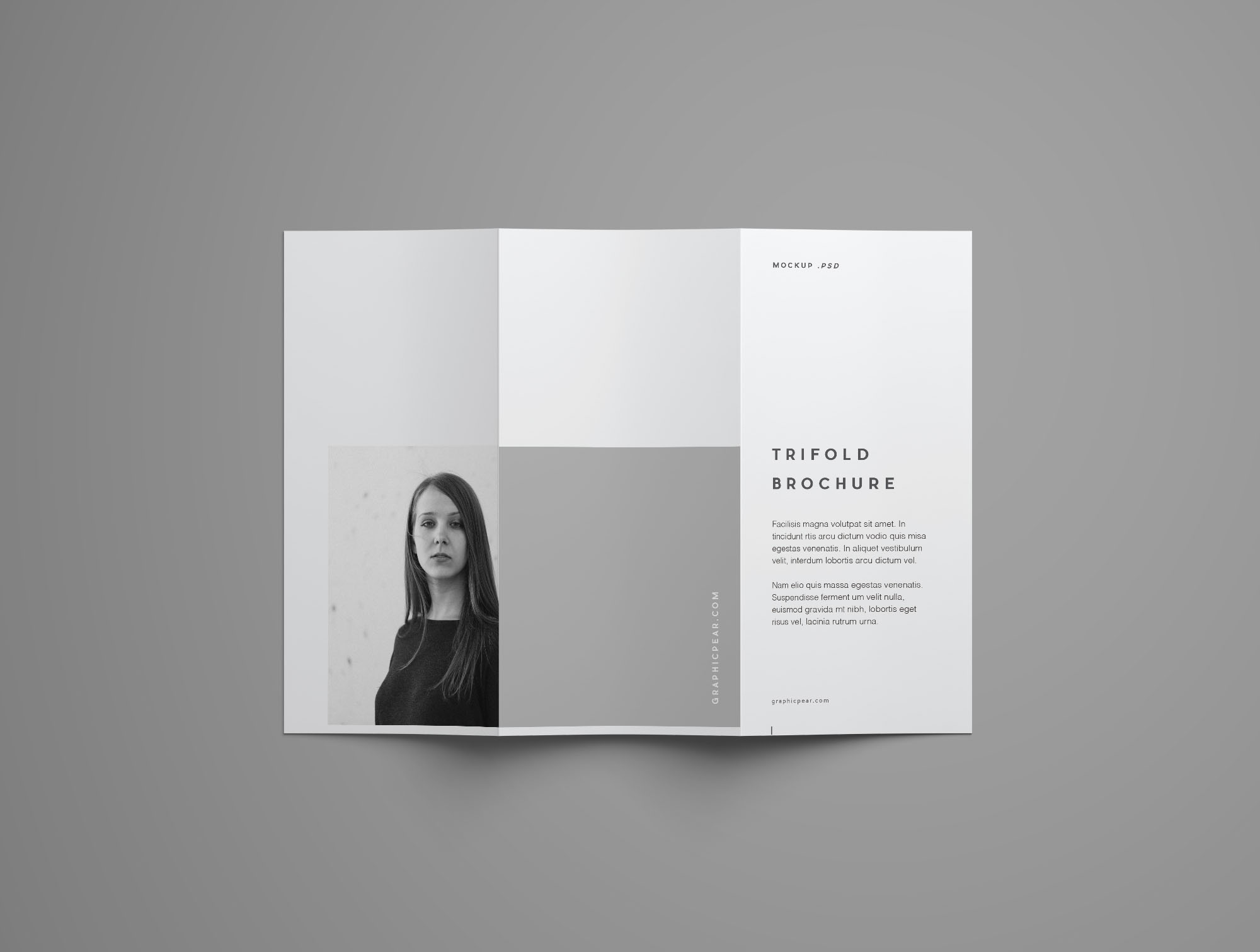 多角度三折页宣传单设计效果图样机 Free Advanced Trifold Brochure Mockup – 7 Angles插图(7)