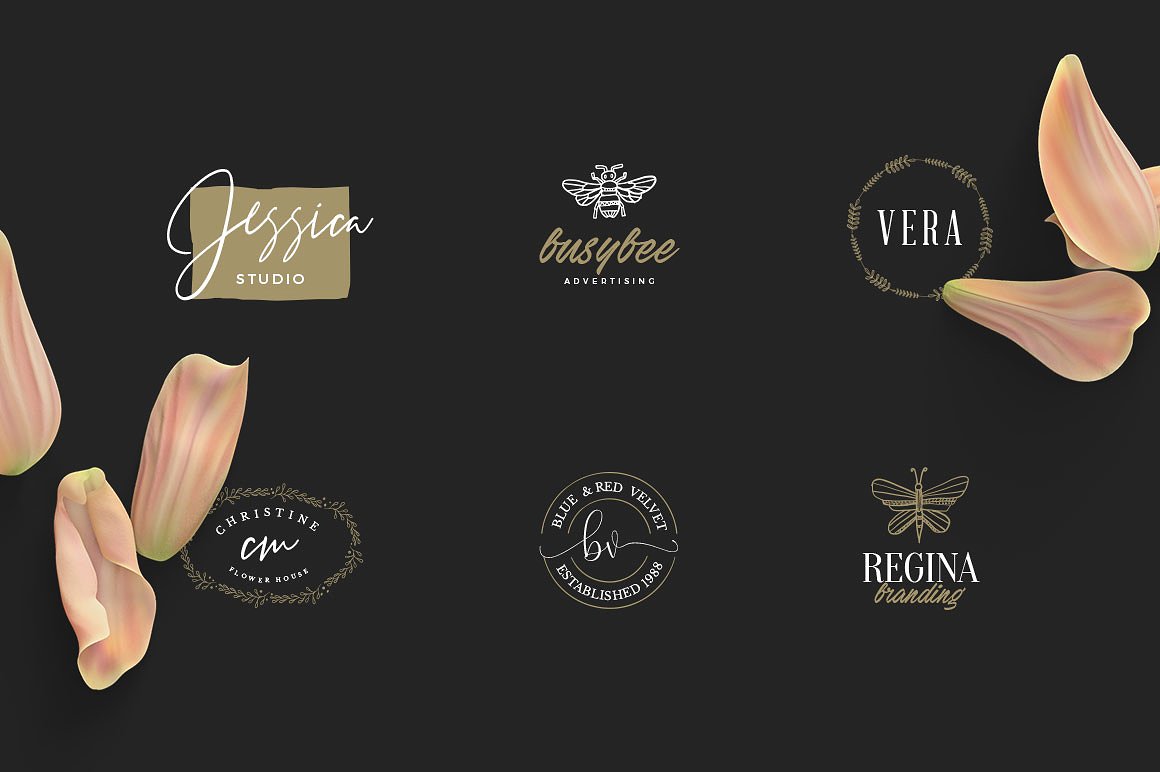 50款女性奢华品牌Logo模板 50 Feminine Luxury Logos插图1
