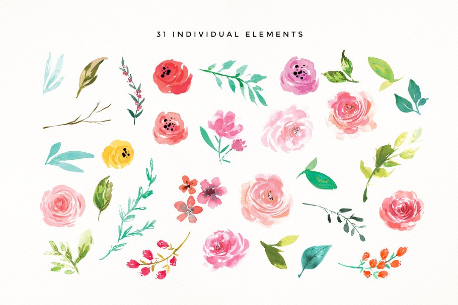 水彩花卉插画图集 Watercolor Flower Graphic Set- Adele插图2