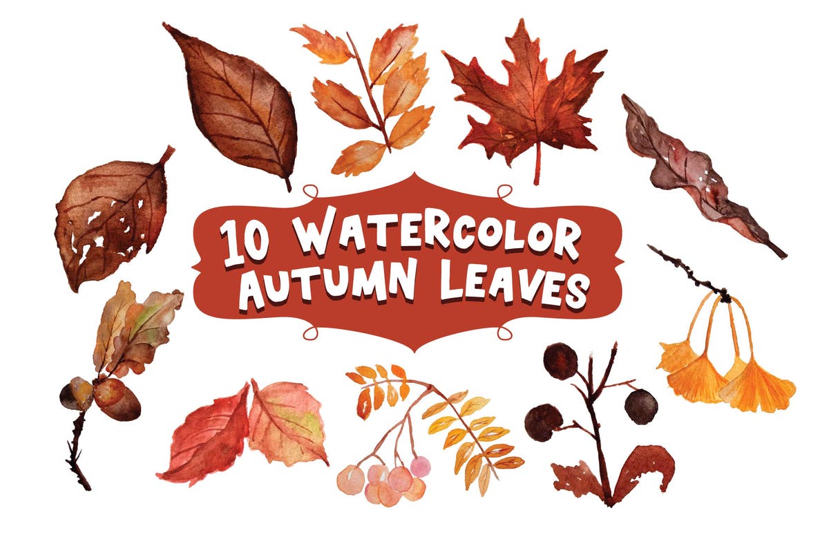 10个秋季落叶水彩插画素材 10 Watercolor Autumn Leaves插图