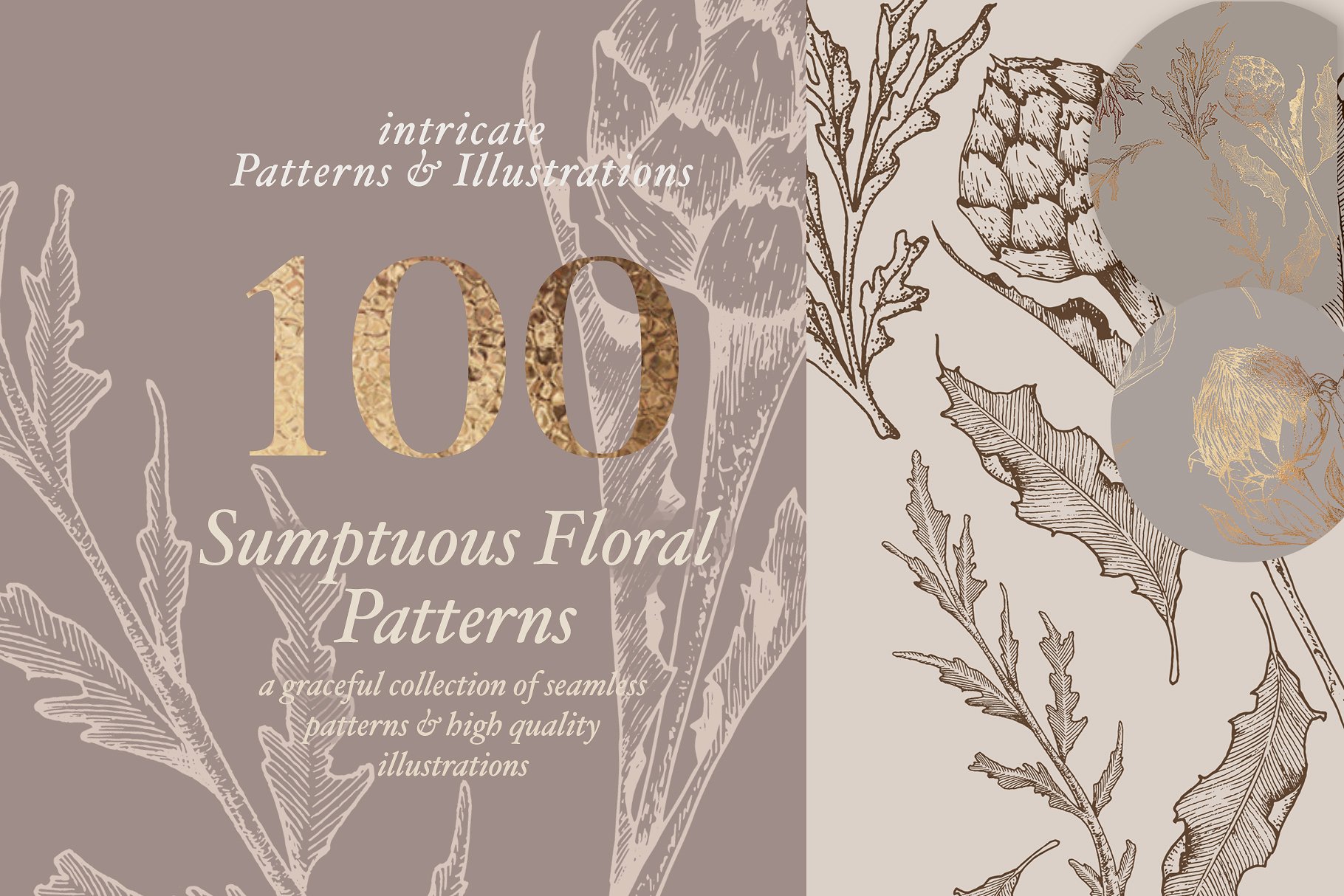 超高清分辨率花卉图案与插图 Floral Patterns & Illustrations [2.19GB]插图